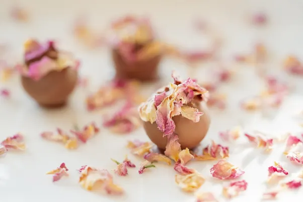 Casino Rocket Slots Aplicación Android/iOS